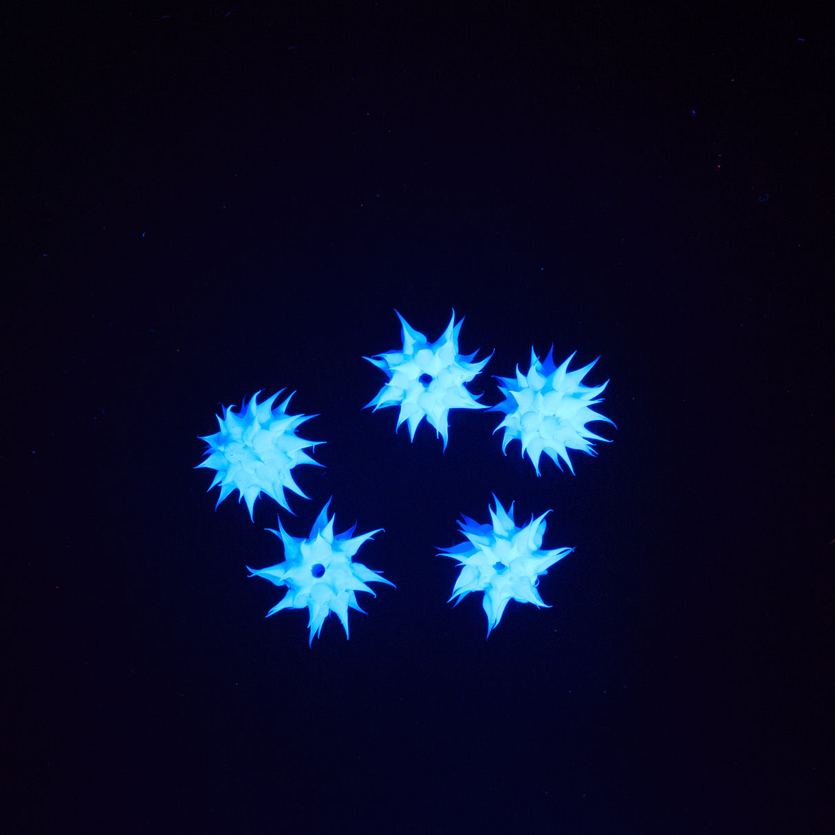 6MS175: Rubber Round Blue 6mm - 5PPK