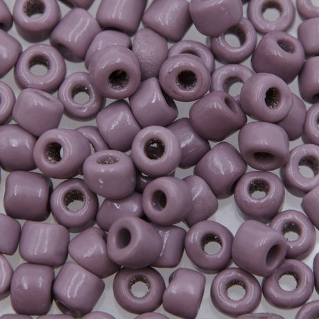 79SV196: VIN VEN Large Crow Orchid #1 9mm Average 250GM