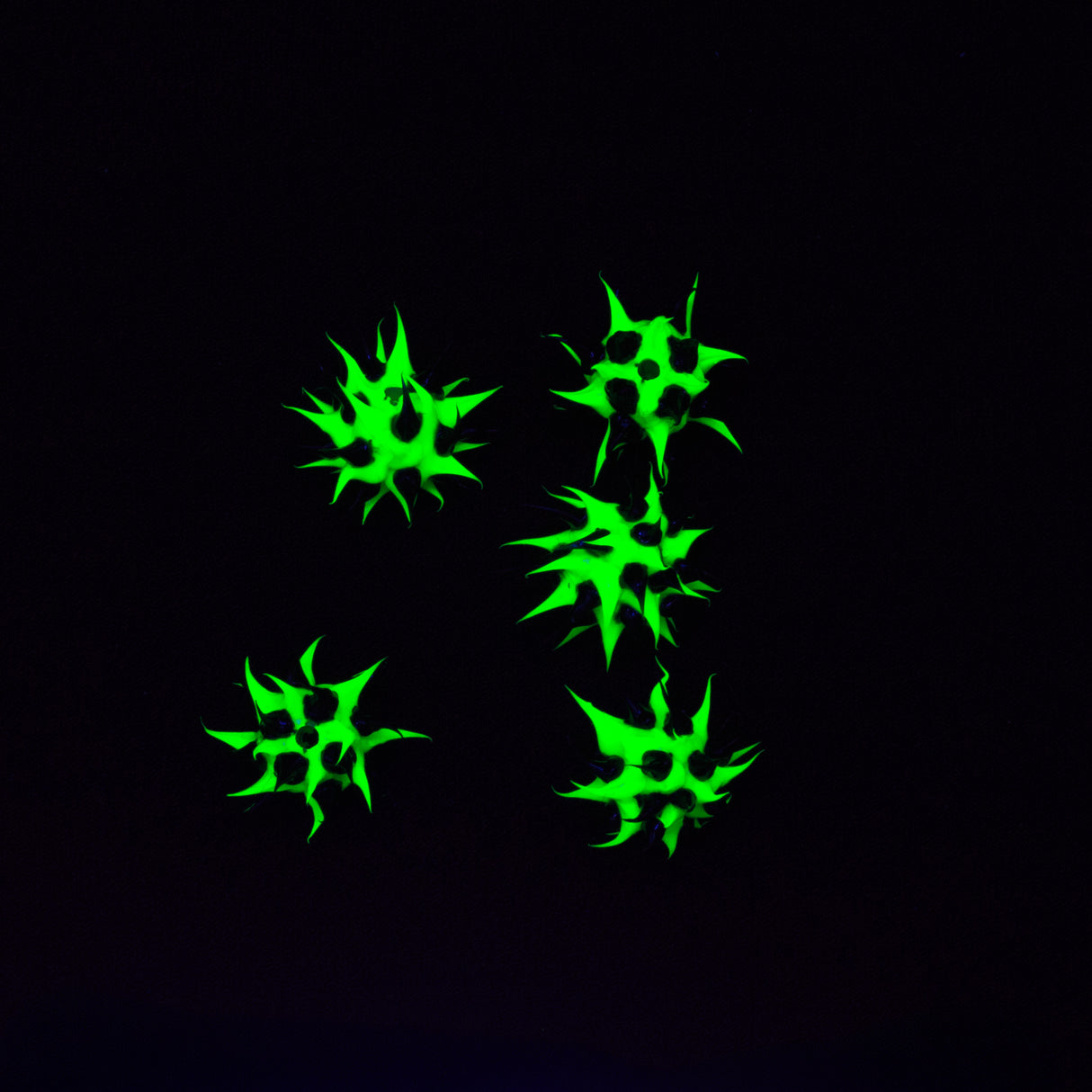 8MS109-84: Rubber Round Green w/Black 8mm - 5PPK