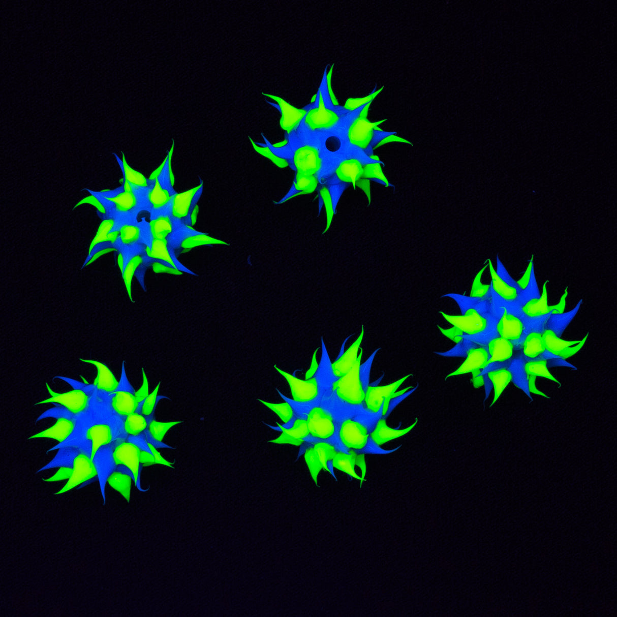 8MS174-22: Rubber Round Blue w/Yellow 8mm - 5PPK