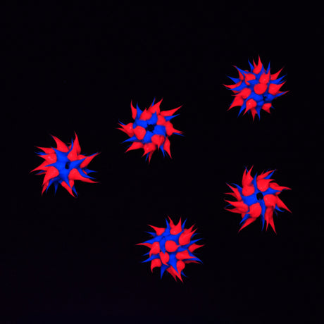 8MS174-92: Rubber Round Blue w/Pink 8mm - 5PPK