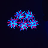 8MS198-74: Rubber Round Purple w/Blue 8mm - 5PPK