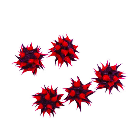 8MS198-92: Rubber Round Purple w/Pink 8mm - 5PPK