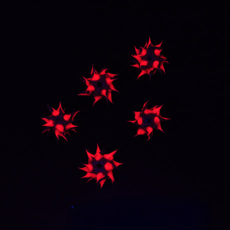 8MS198-92: Rubber Round Purple w/Pink 8mm - 5PPK