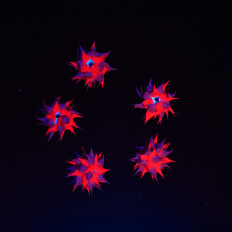 8MS198-96: Rubber Round Dark Purple w/Lt Purple 8mm - 5PPK