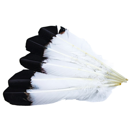 99FR101-5: Tom Turkey "Eagle" Black Tipped 10-12" - 5PC