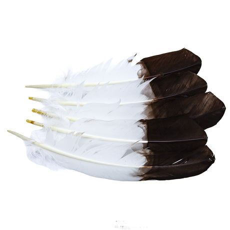 99FR113-5: Tom Turkey "Eagle" Brown Tipped 10-12" - 5PC