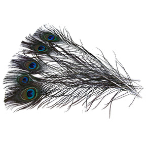 99FR599-5: Cut Eyed Peacock Sticks 10-12" - 5PC
