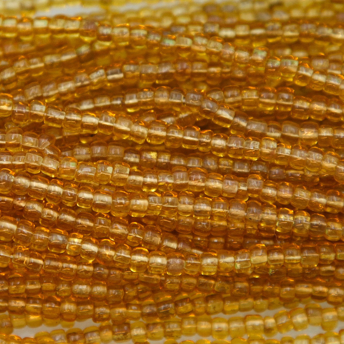 9SV253-6: VIN VEN Gold #6 SQ Hole 9/0 500GM