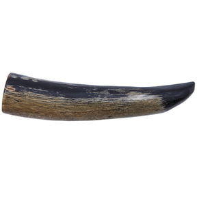 HR103-2N: HR103 Water Buffalo Horn Tip Natural 4IN 1PC