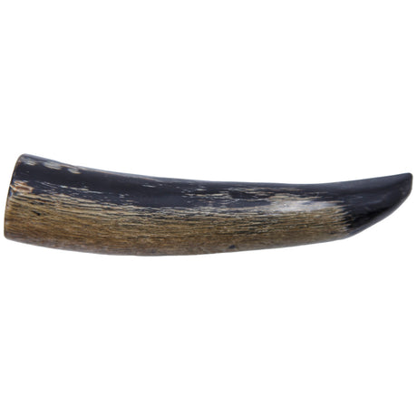 HR103-2N: HR103 Water Buffalo Horn Tip Natural 4IN 1PC