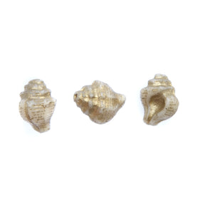 SH003: Czech Shell Bead 15x12mm