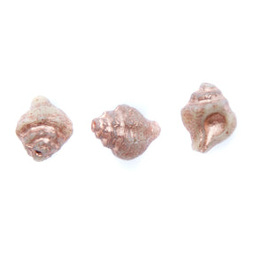 SH004: Czech Shell Bead 15x12mm