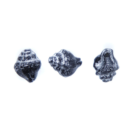 SH006: Czech Shell Bead 15x12mm