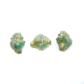 SH008: Czech Shell Bead 15x12mm