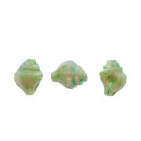 SH012: Czech Shell Bead 15x12mm