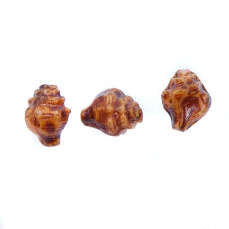 SH016: Czech Shell Bead 15x12mm