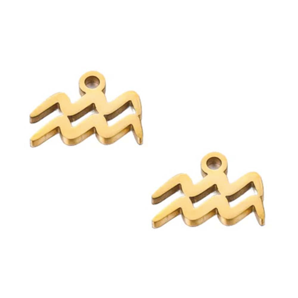 SNC10-SNG11: Stainless Steel Zodiac Charm - Aquarius -  Gold - 9.5mm - 2PPK