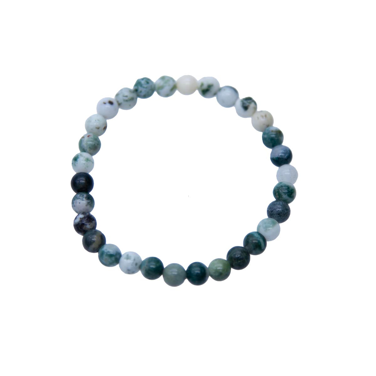 STB504-6: Stretch Bracelet Tree Agate 6mm Round