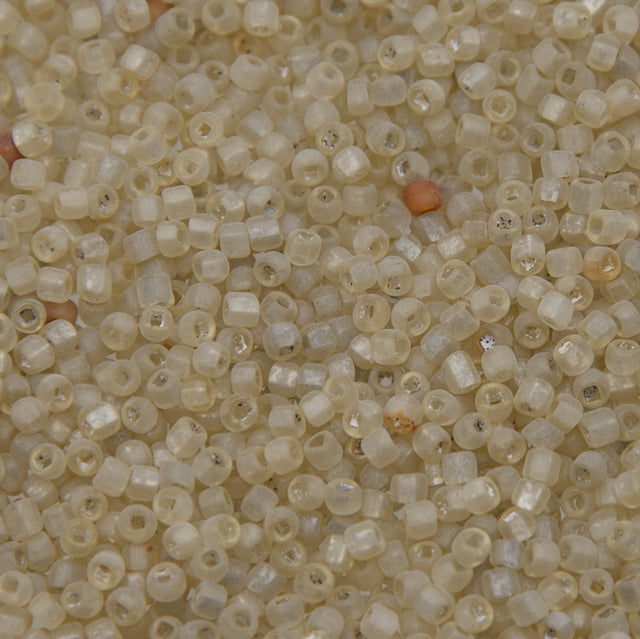 SV100-139: Vintage Venetian Seed Bead Greenish Crystal SQ Hole Frosted 10/0 - 250 Grams